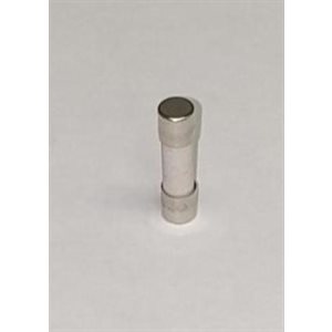 FUSE 10 AMP 250V PK2